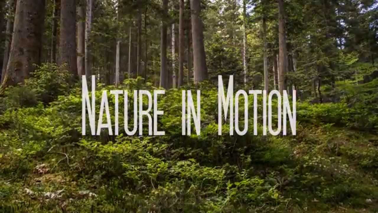 Nature in Motion [4K Ultra HD]