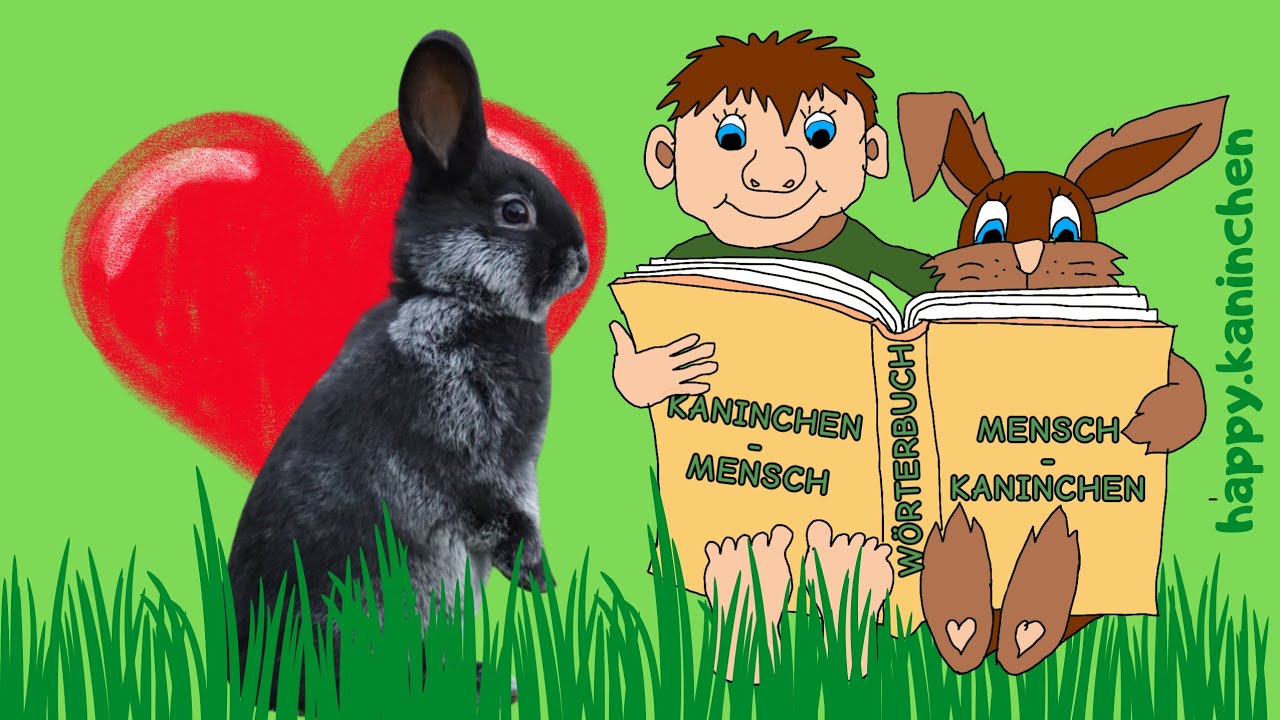 Körpersprache der Kaninchen