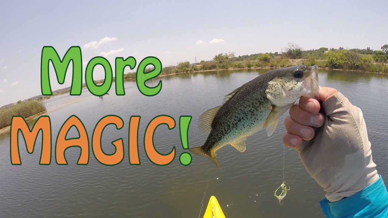 More Magic | Bass Fly Fishing In South Africa From A Canoe | Fish The Fly