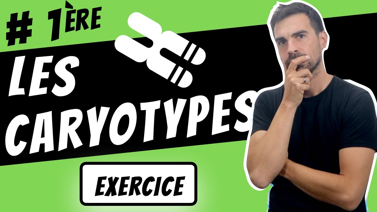 LES CARYOTYPES -PREMIÈRE SVT-