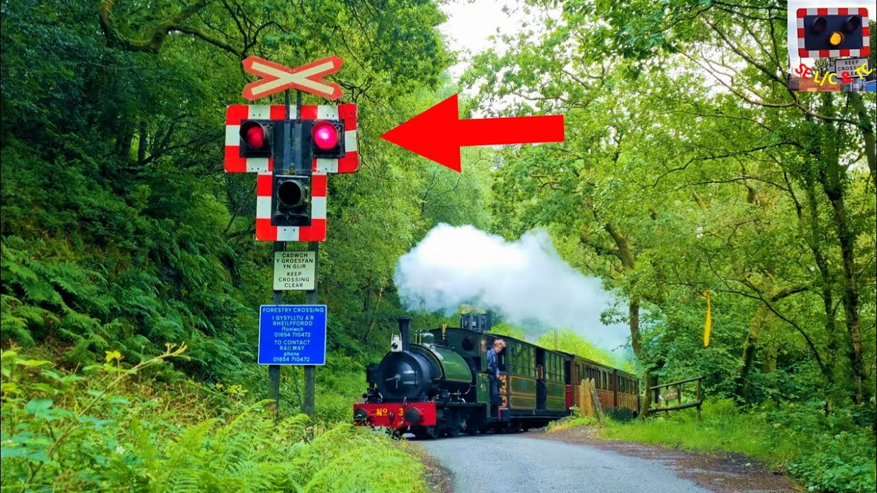 Very unusual wigwag / warning light design at Forestry Level Crossing, Talyllyn Railway, Gwynedd