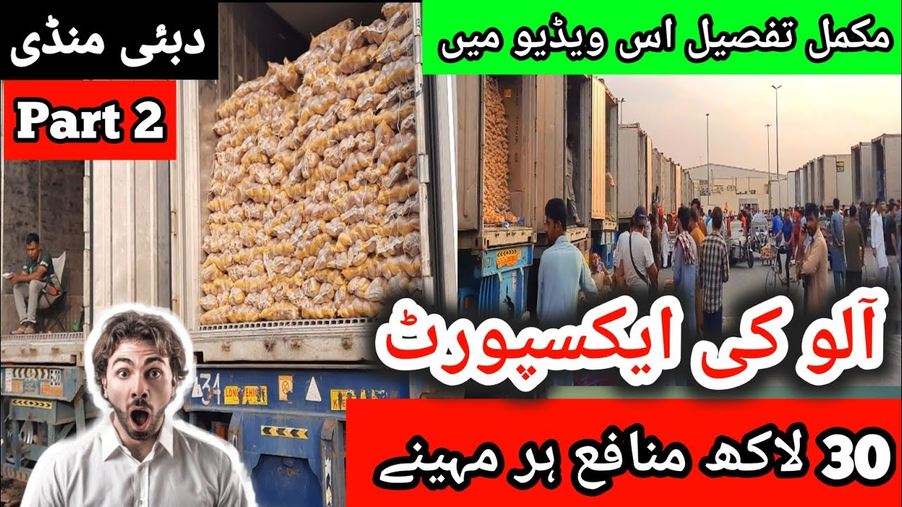 Potato Export from Pakistan | Potato Export from Pakistan | Import Export Business | Anees Voice