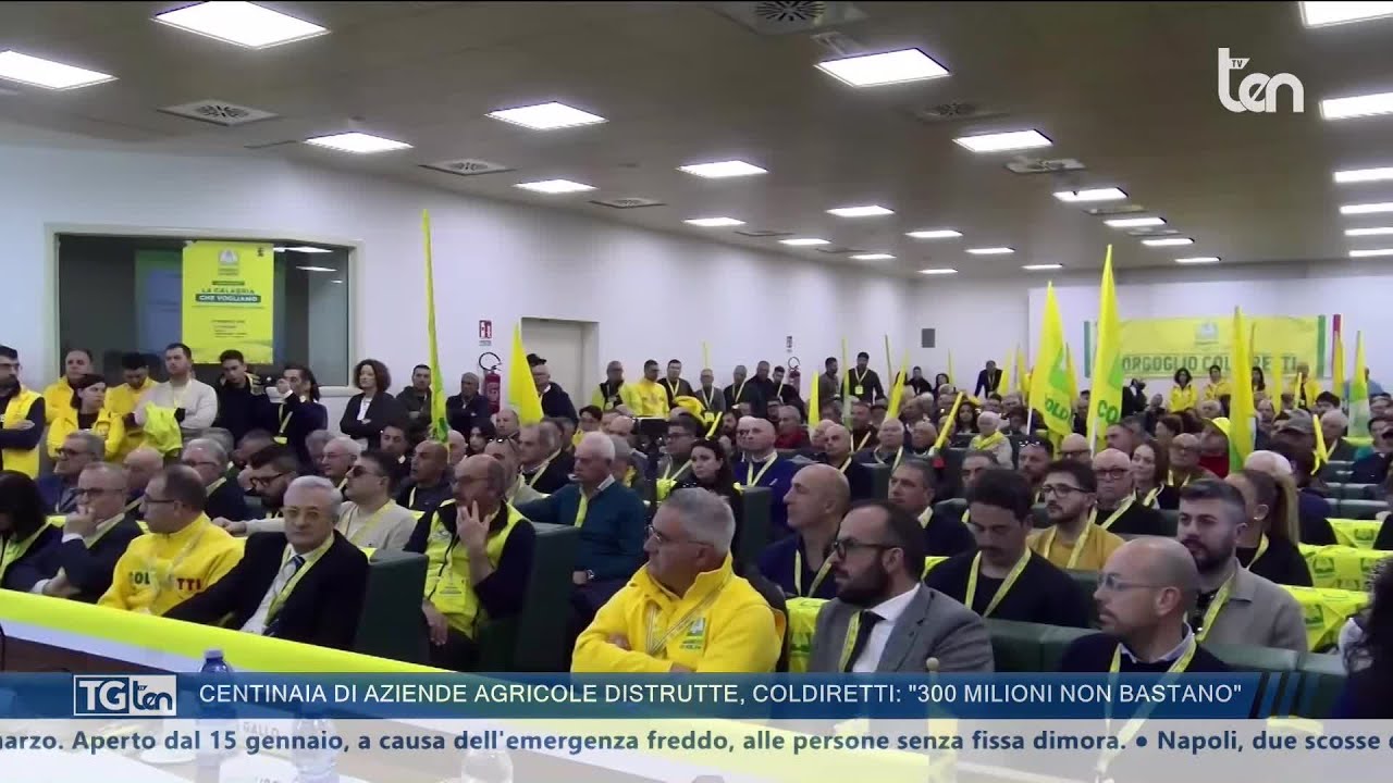 TG ten 20:30 28 febbraio 2026