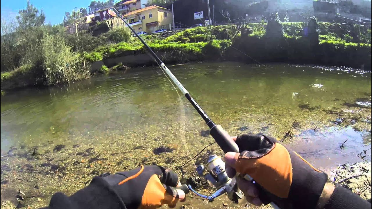 Barbo com amostras - Barbel on lures