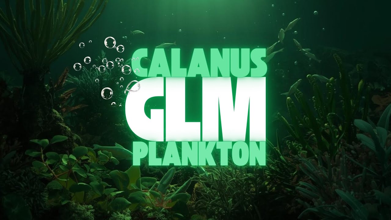 NOVINKA pro rok 2026 - GLM CALANUS PLANKTON