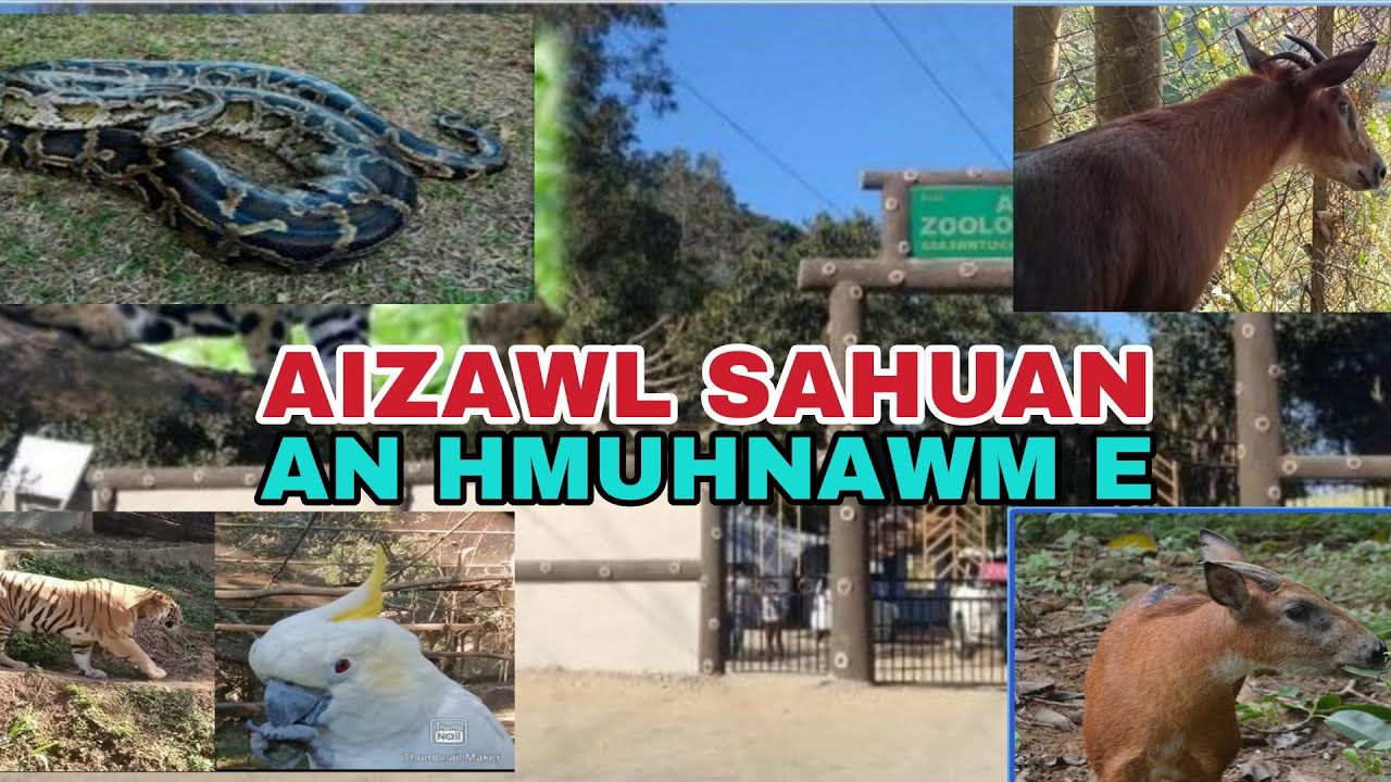 Aizawl Zoo, anuam khawp mai, #animal