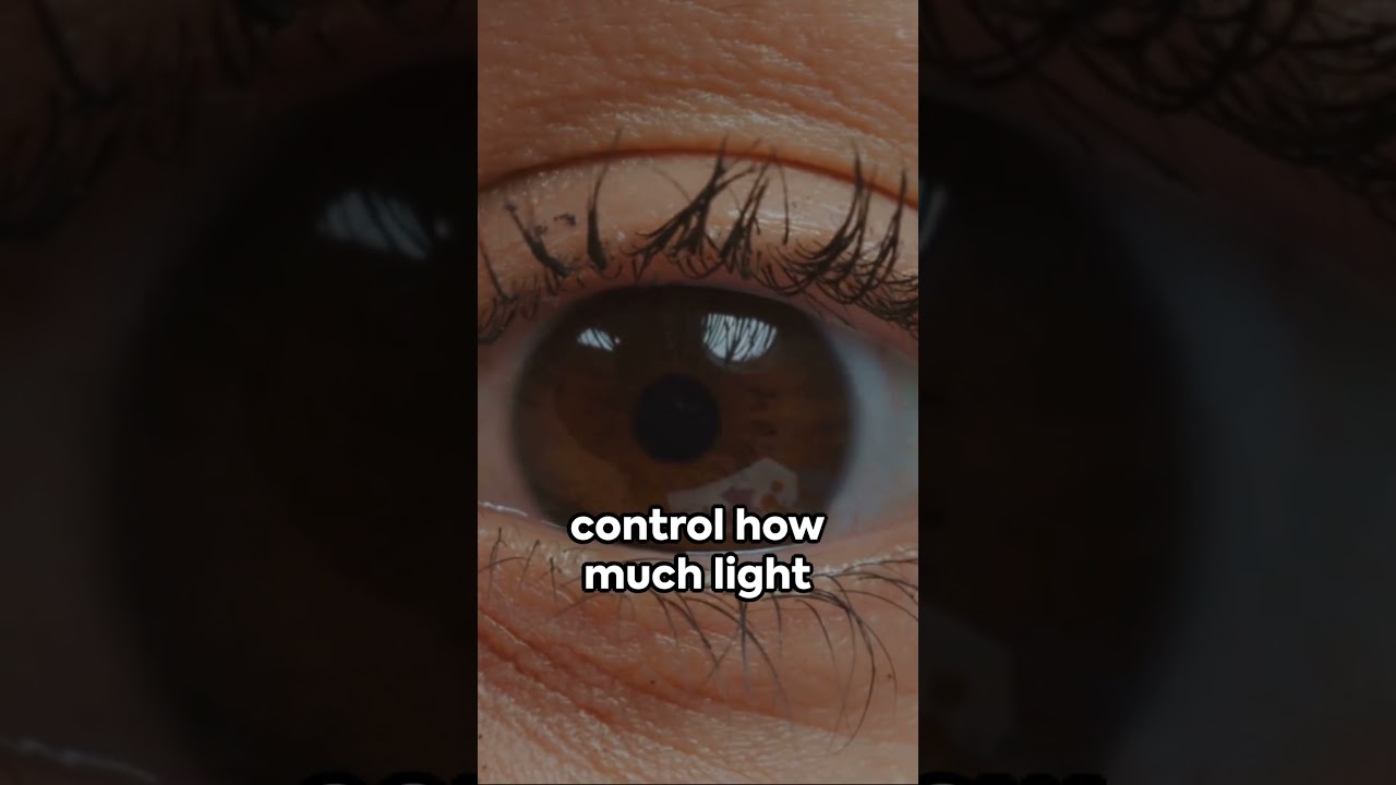 Do You Know This? 🤯 | Amazing Facts 