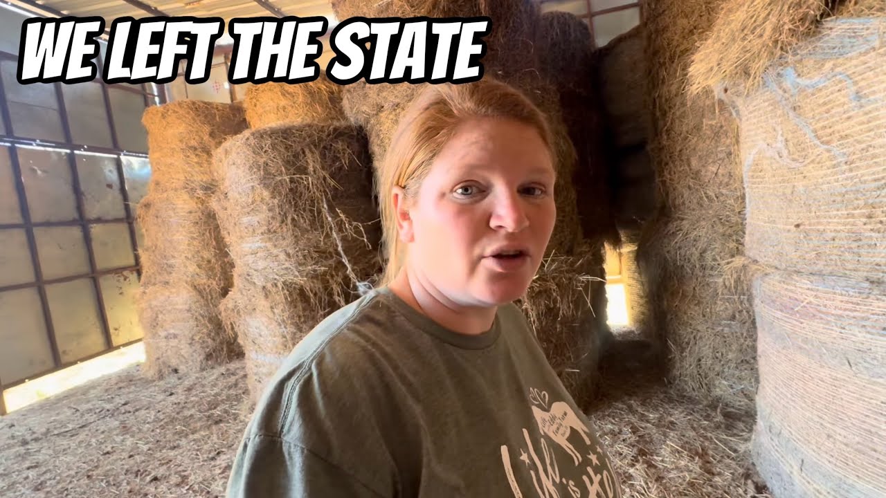 This Was Not Supposed To Happen / It’s A Trip We Will Never Forget