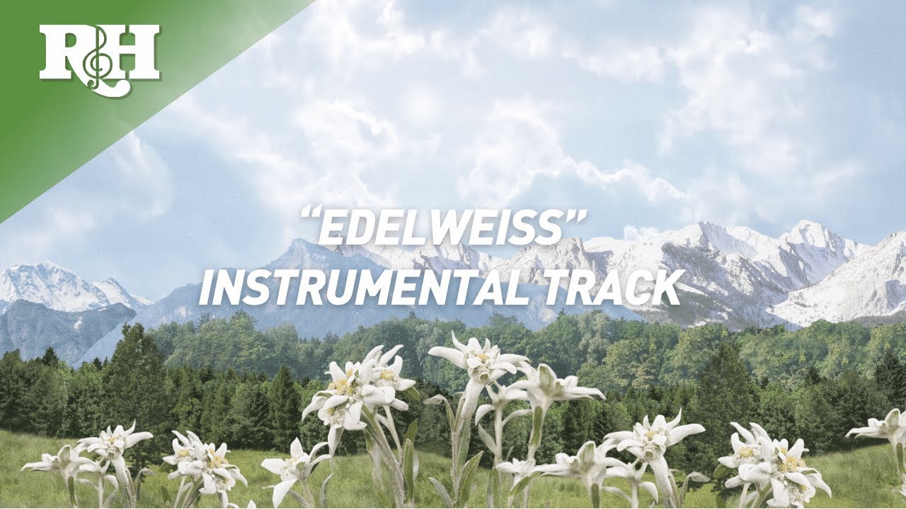 INSTRUMENTAL: 