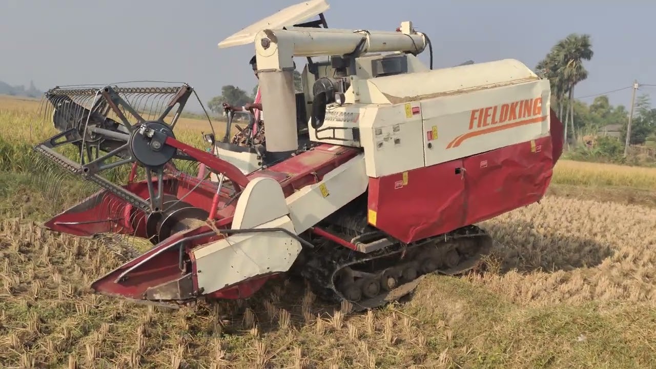 amazing Fieldking combine harvester/paddy cutting field working video/অসাধারণ ধান কাটার মেশিন ভিডিও