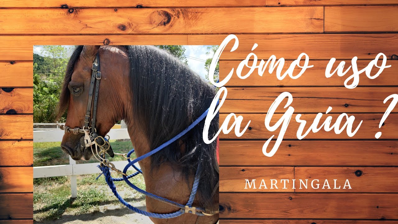 COMO USO LA GRUA (MARTINGALA)