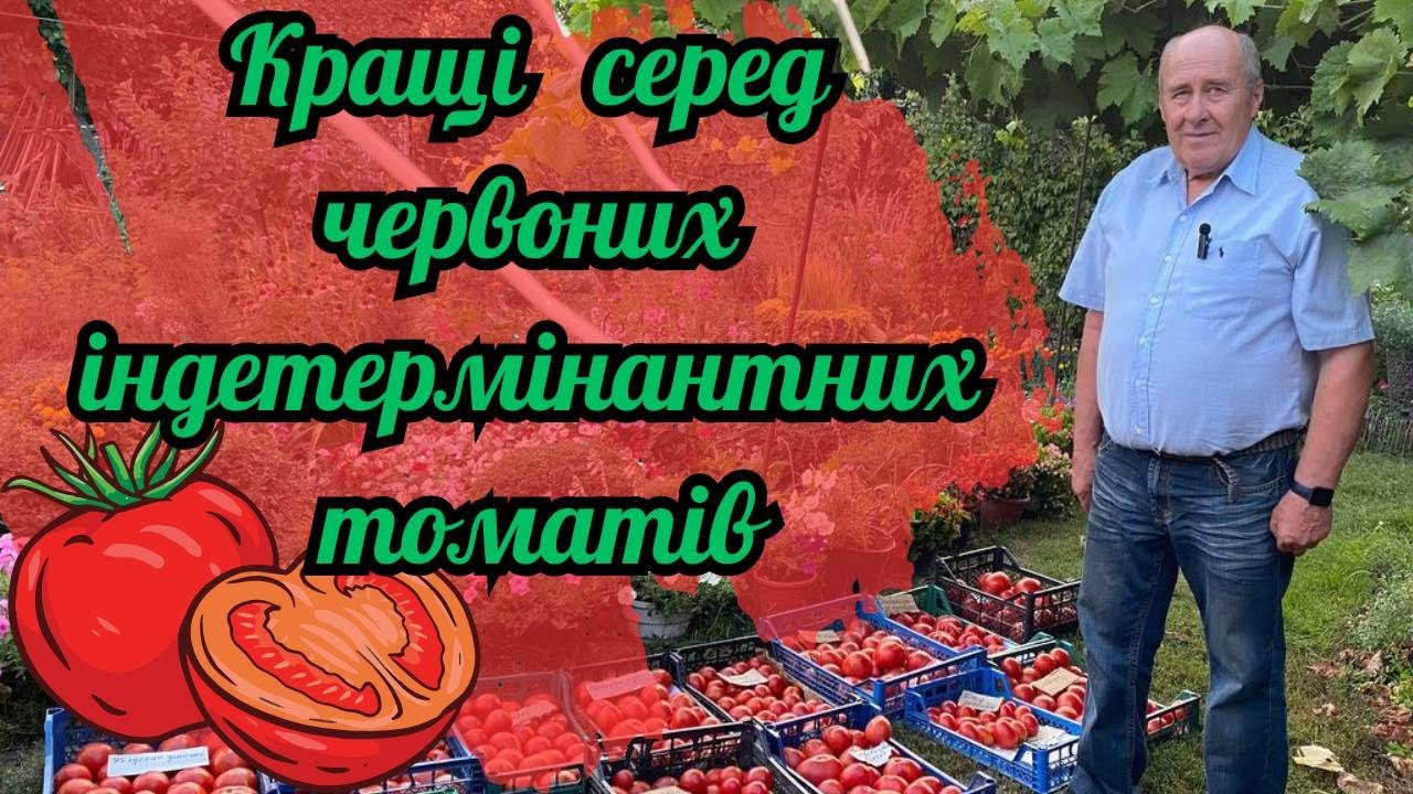 Кращі серед червоних індетермінатних томатів!