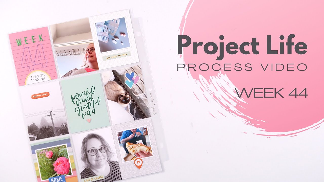 Project Life Process Video // Week 44, 2023