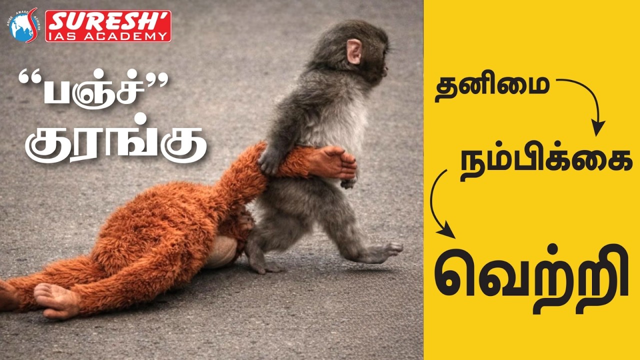 பஞ்ச் குரங்கு | PUNCH MONKEY...| தனிமை - நம்பிக்கை - வெற்றி | Suresh IAS Academy