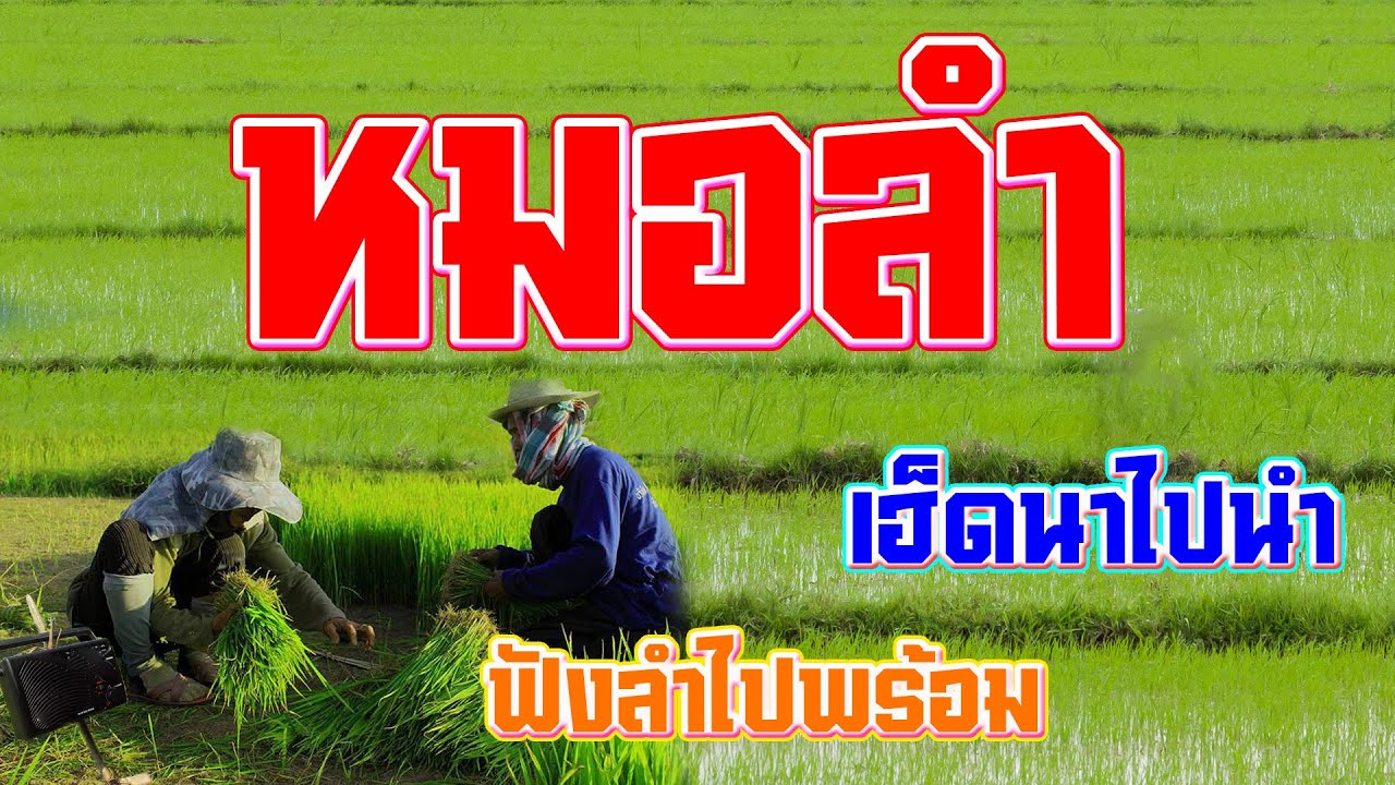 หมอลำม่วนฟังเพลิน