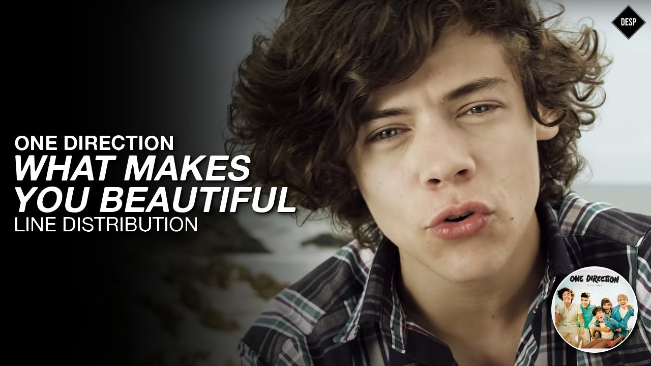 One Direction - What Makes You Beautiful ~ Solo Line Distribution