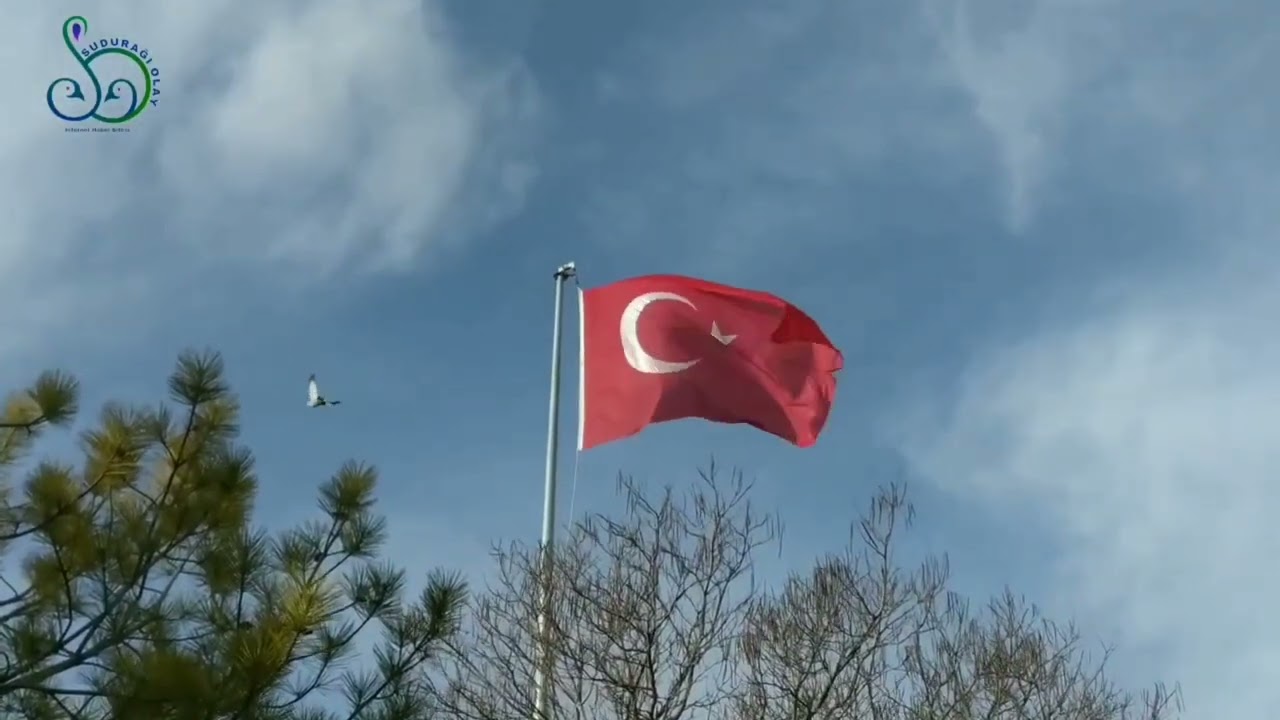 Türk Oğlu 🇹🇷#Türküm Ben..
