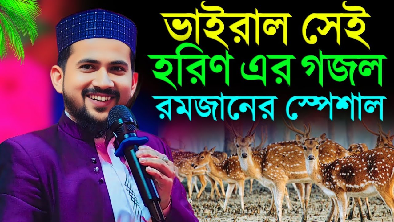 ভাইরাল সেই হরিণ এর ঘটনা মূলক গজল┇রমজানের স্পেশাল গজল┇শিল্পী হুজাইফার কন্ঠে┇shlpi md Huzaifa Gojol 