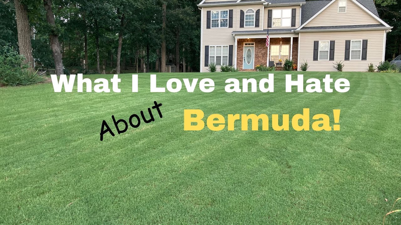 The Good and Bad of Bermuda Grass - 4 Things I Love and 4 Things I Don't.