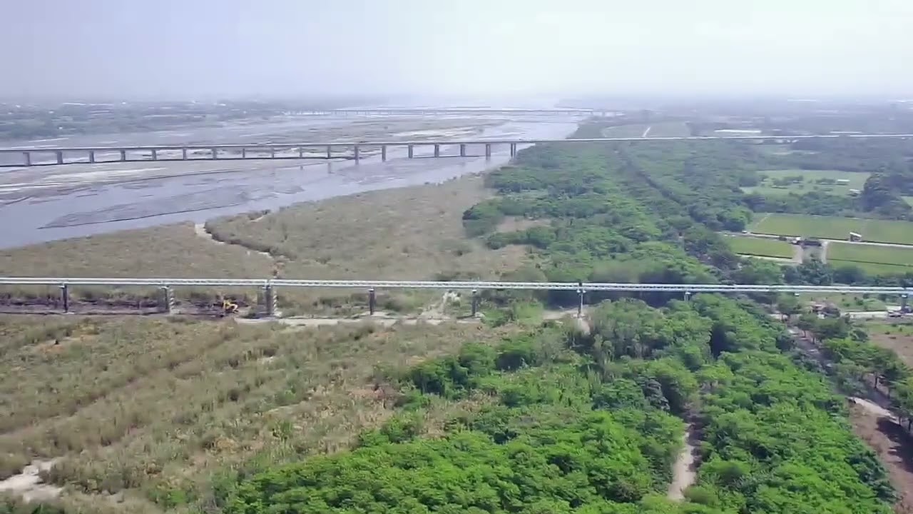 西螺大橋，原本是要拍甜根子，結果慢了一週，已經變黃色 就紀錄一下即可