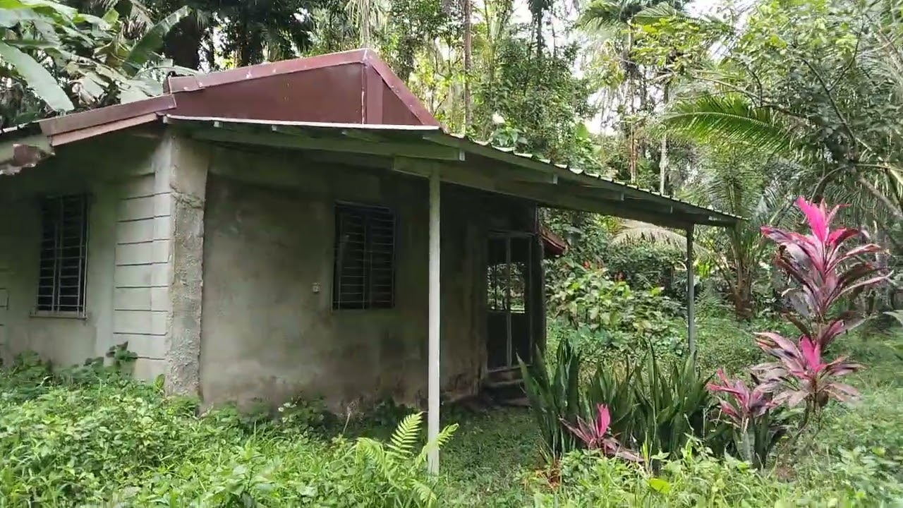 FARM LOT FOR SALE IN NAGCARLAN LAGUNA
