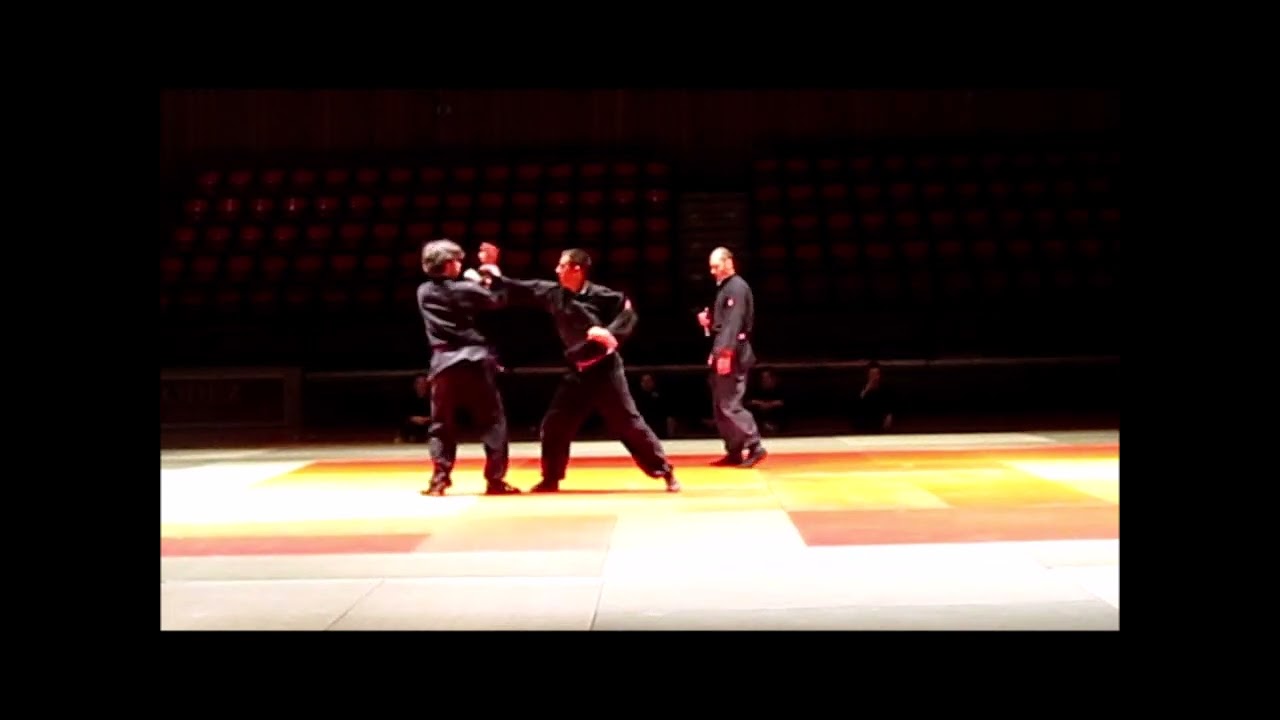 D&eacute;monstration combat Kung Fu traditionnel