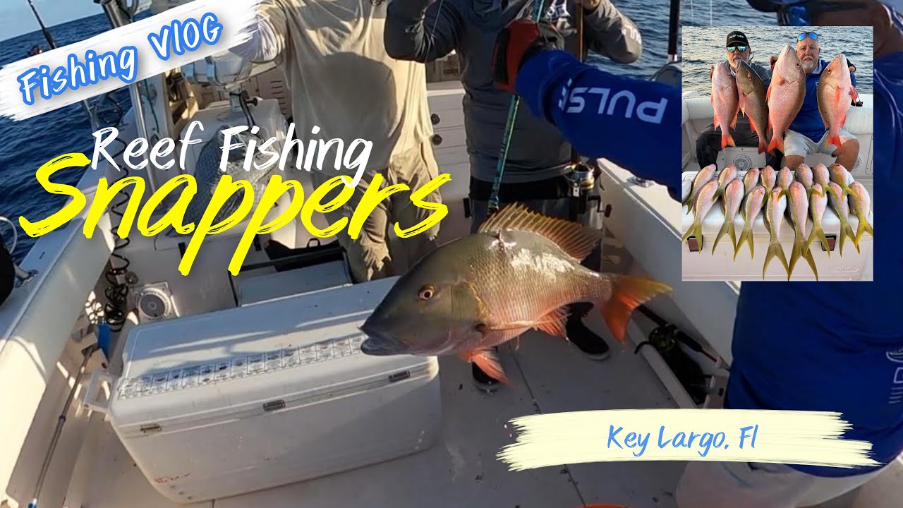 Yellowtail Snapper Action in Key Largo | 17 Flags & 4 Muttons on Light Tackle