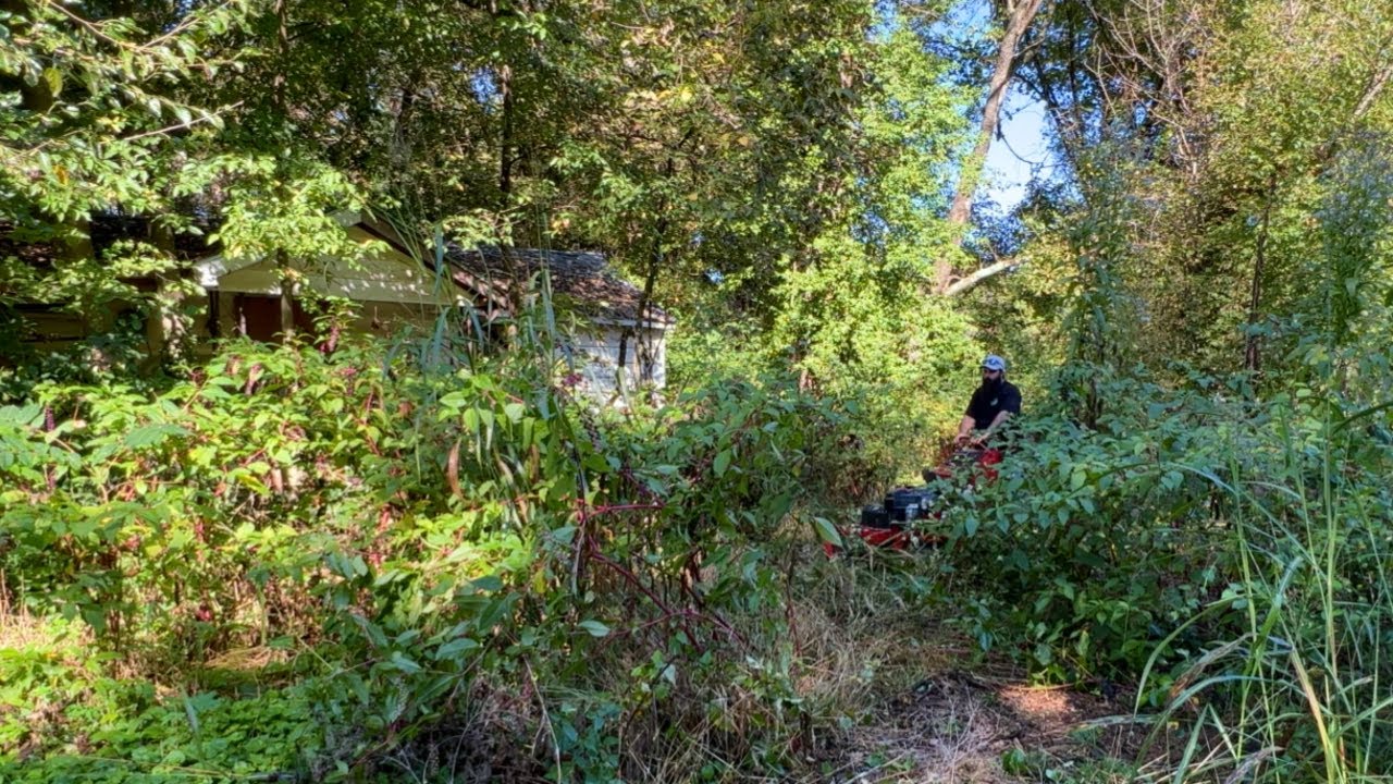 It Might have BEEN BETTER to LEAVE this one HIDDEN - Obvious Criminal Activity Hidden in Overgrowth
