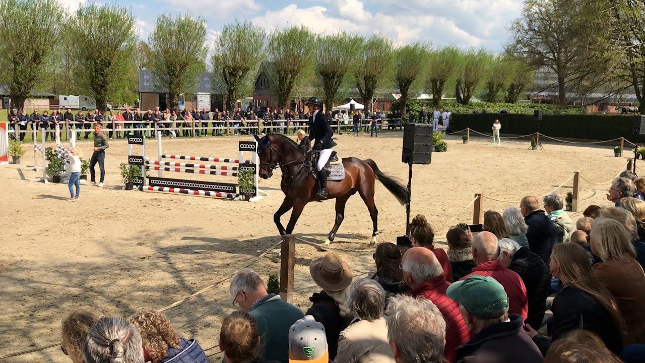 Corlou 2022 De Wiemselbach Stallion Show