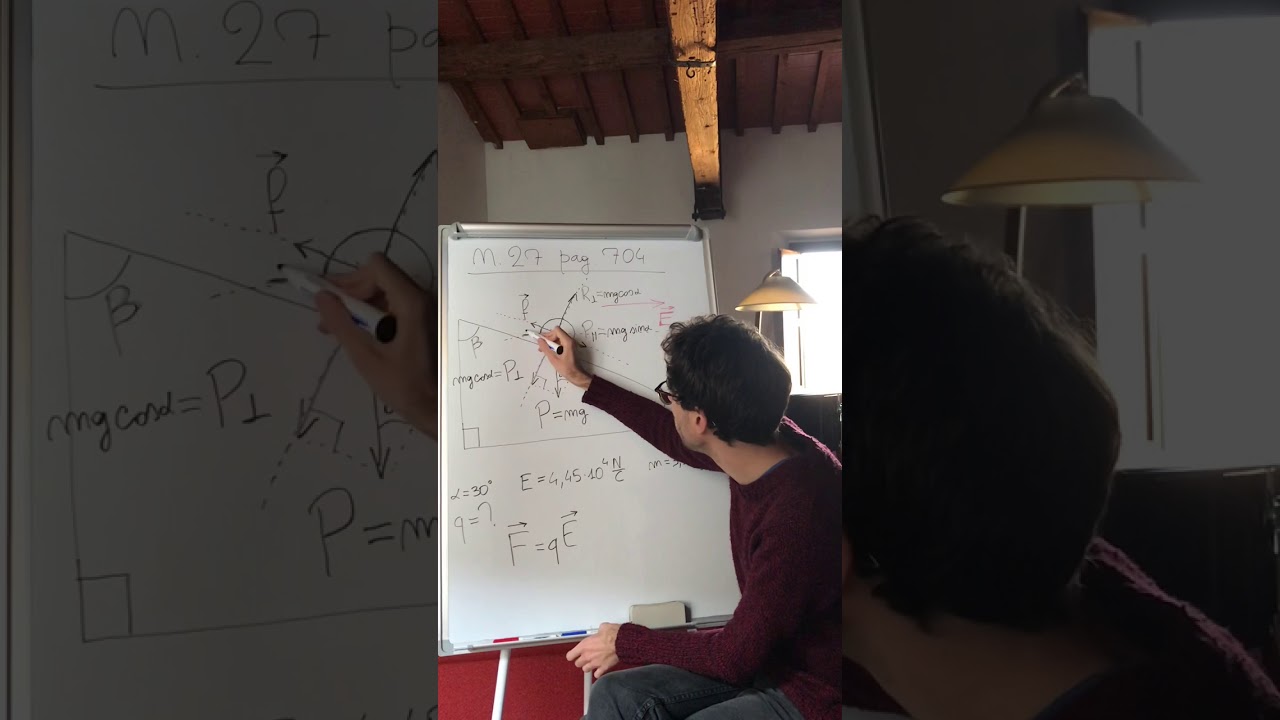 CAMPI ELETTRICI: esercizio forza equilibrante