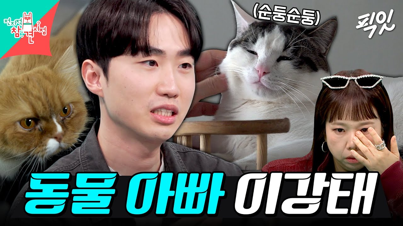[전참시] 동물보호센터에서 견사 청소하고 고양이 구조까지 나서는 동물 아빠 이강태의 일상 MBC260214방송 #전지적참견시점 #이강태 #포캣멍GO