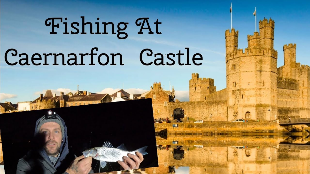 fishing for bass in north wales . uk sea fishing