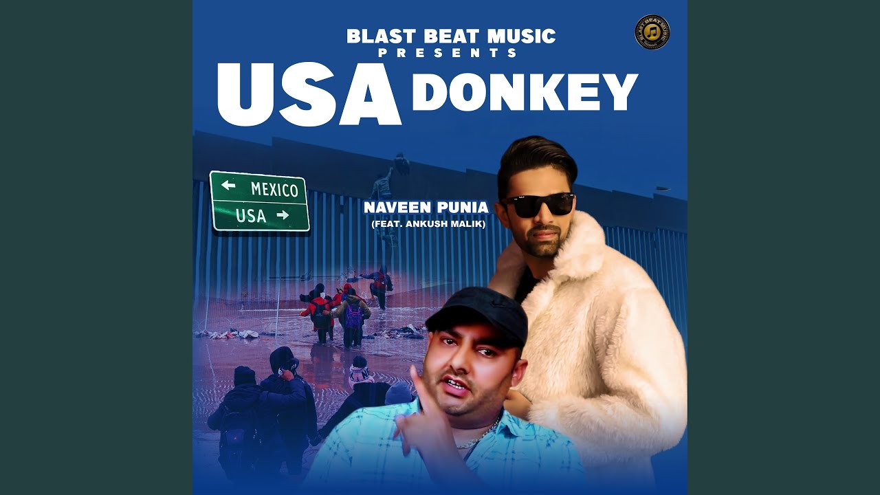 Usa Donkey