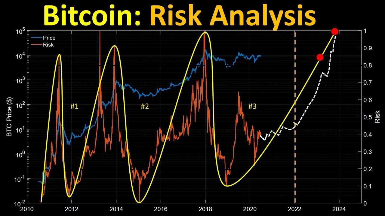 Bitcoin: Risk Analysis and Predictions