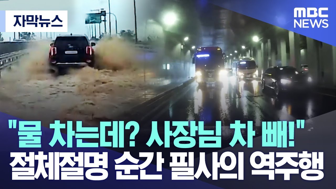 [자막뉴스] 