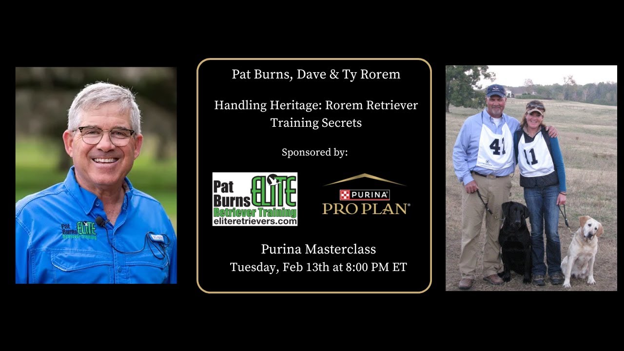 Handling Heritage: Rorem Retriever Training Secrets