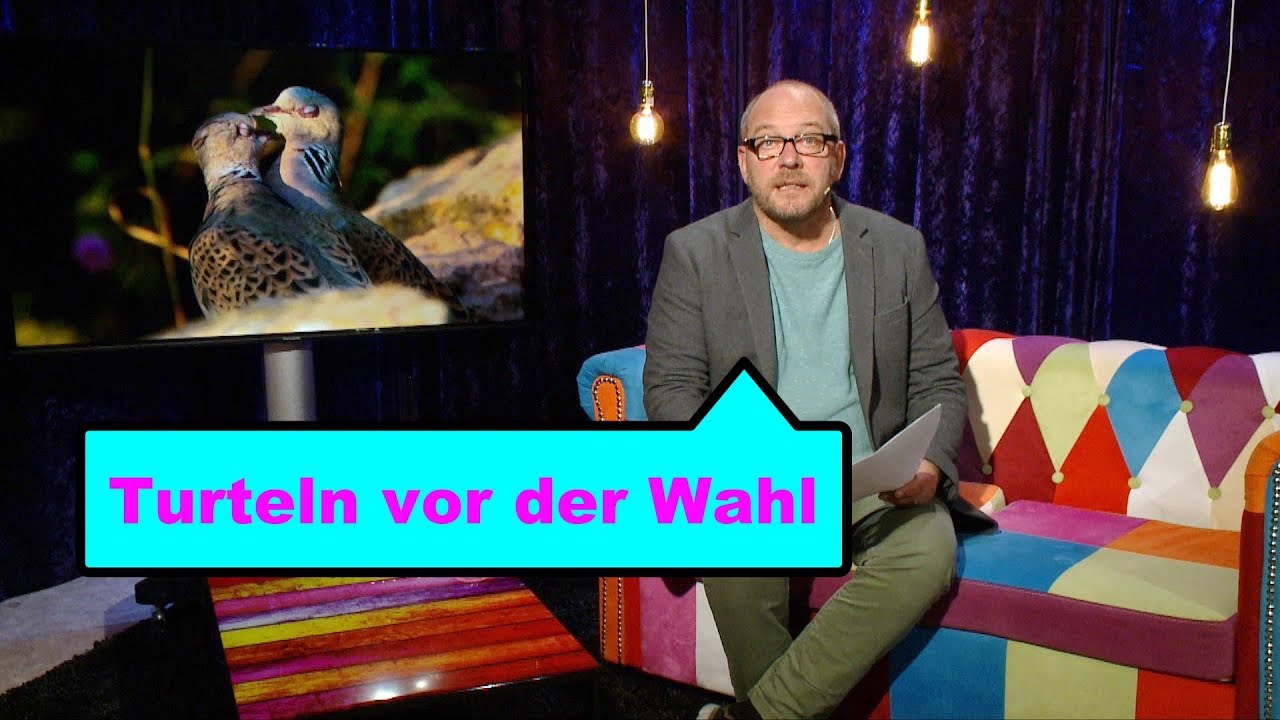 Nonsenf Folge 42: Dann lieber die Stinkmorchel