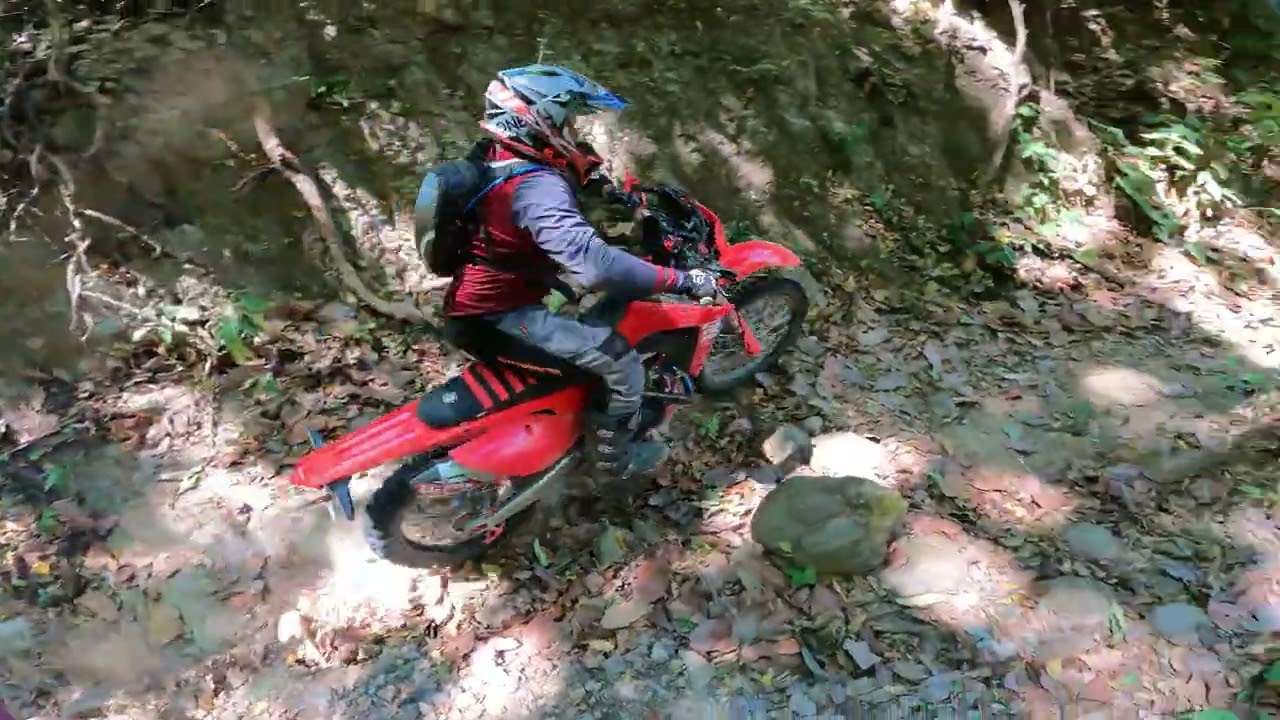 Jaris2, Chompipe, Finca San Cristobal 8-2-2026