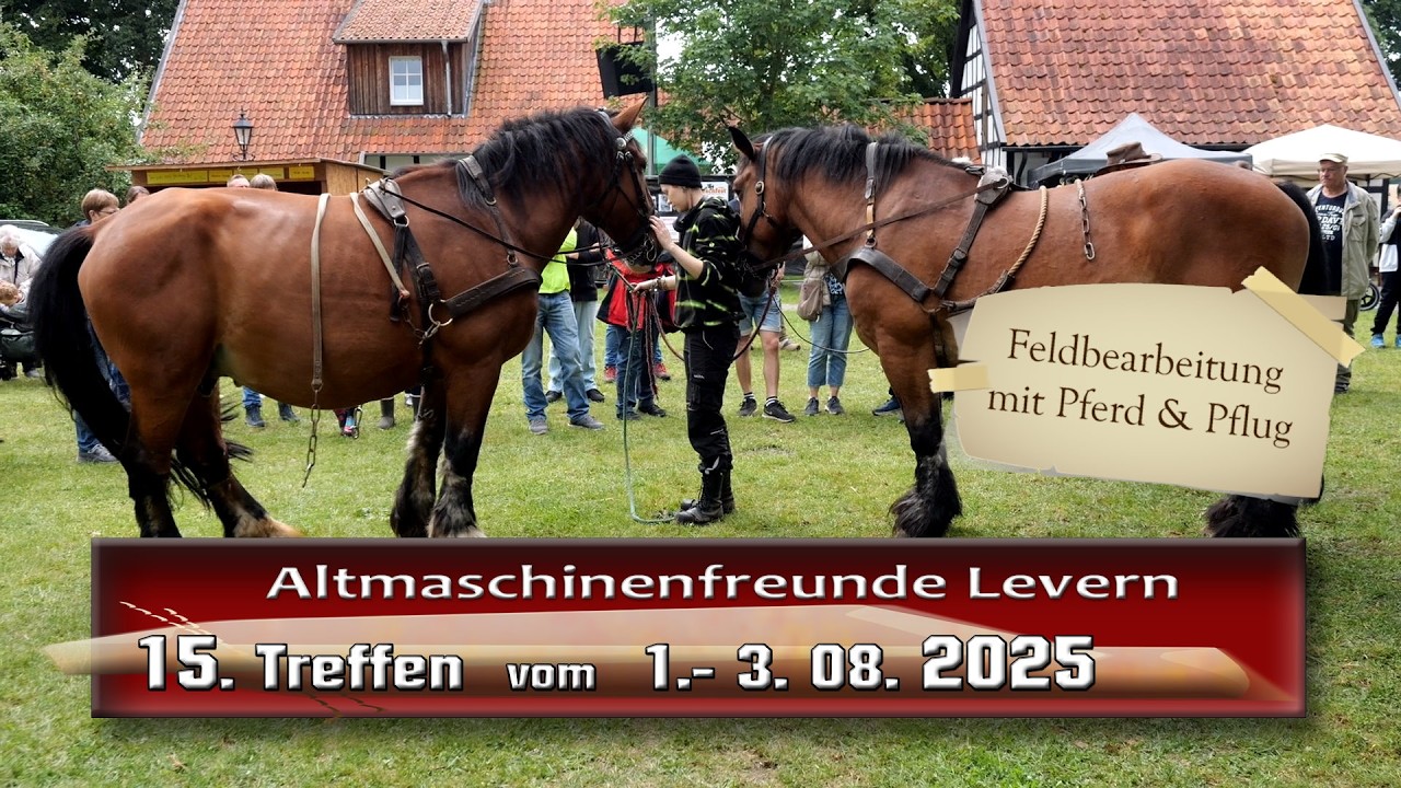 15. Altmaschinentreffen in Levern - Feldbearbeitung mit Pferd & Pflug- Clip 7
