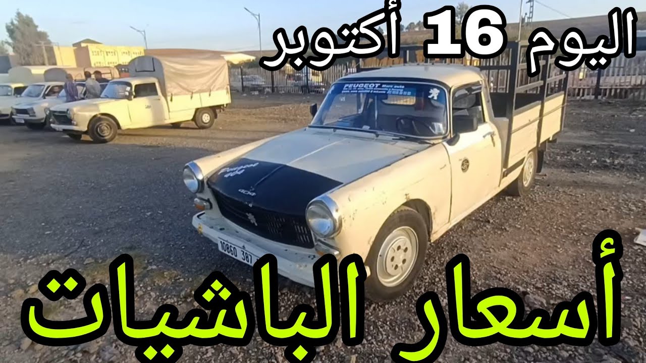 أسعار الباشيات اليوم 16 أكتوبر 2025 جديد سوق عين نحجار ولاية البويرة شاهد الفيديو لمعرفة الاسعار 