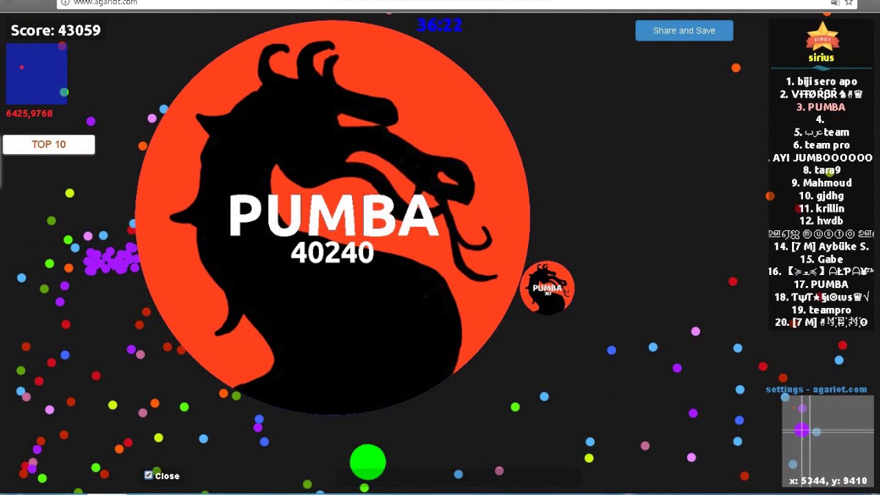 Agariot gameplay (team PUMBA)