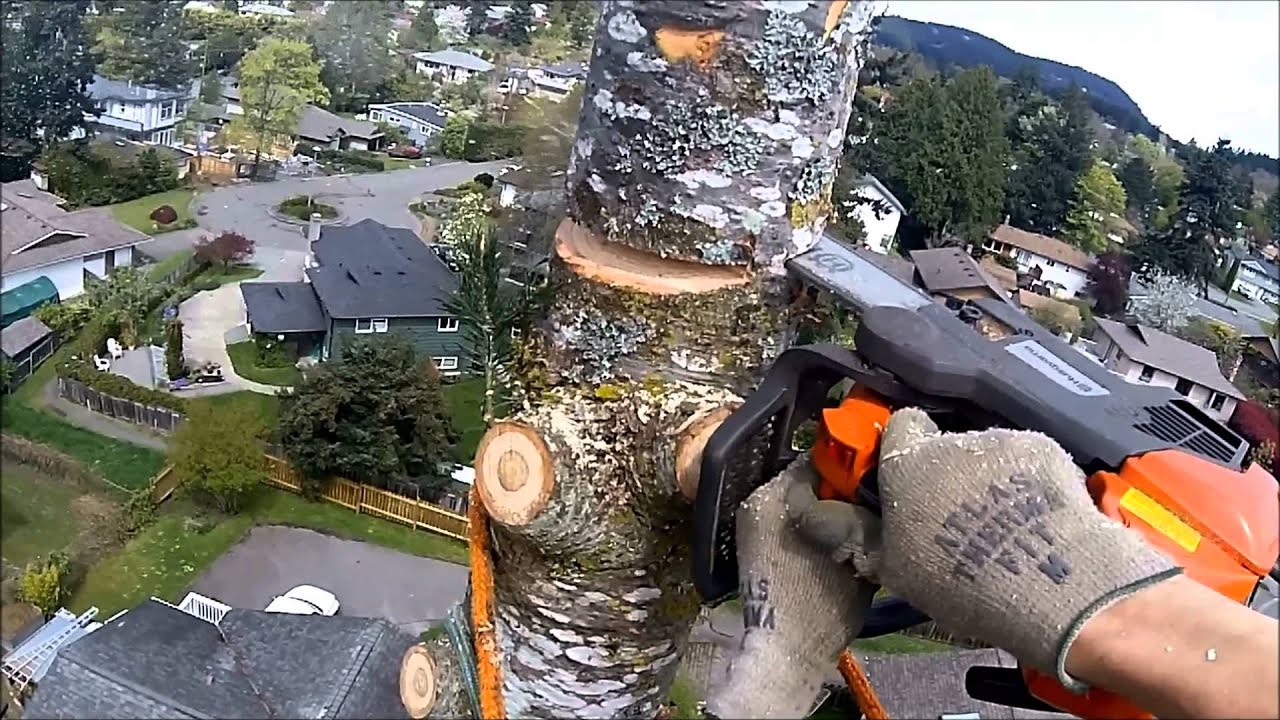 Treework Victoria BC, Spring 2014 HD - rctree.ca