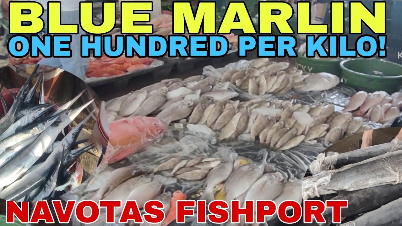 EPS 159 BLUE MARLIN ONE HUNDRED LANG PER KILO|MARKET 3 NAVOTAS FISHPORT