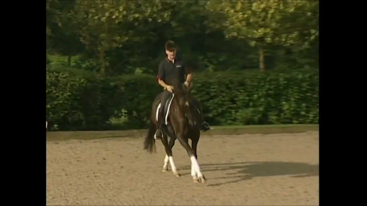 Flying Changes with Richard Davison