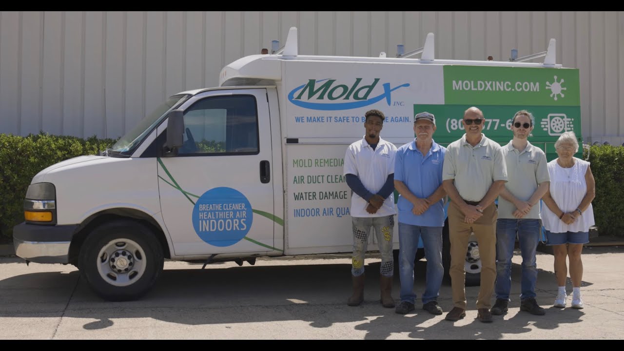 Mold Pros Use Dot Mold Cleaner | MoldX Richmond Virginia