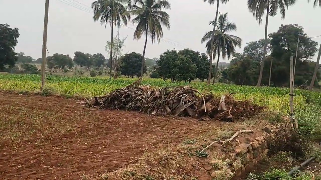 2.75ACRES LAND SALE HANUR NEAR 6KM BANGALORE 150KM MYSORE 90KM 9902421145