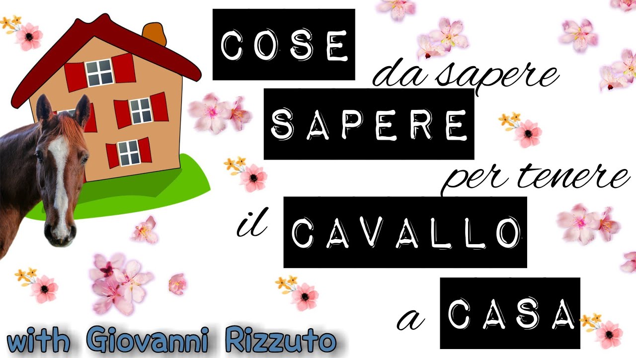Cosa aspettarsi quando si ha il cavallo a casa! Collab. con Giovanni Rizzuto