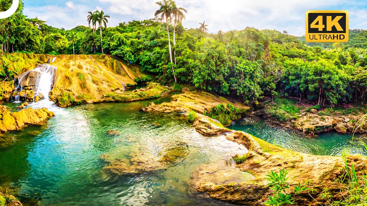 Cuba's Natural Marvel: The Rainforests | 4K Nature Documentary