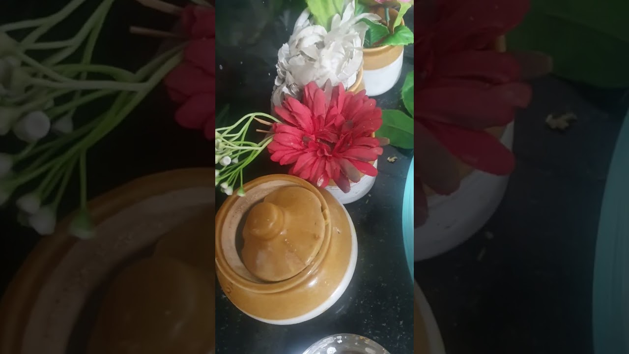 Khatiyawad udiyan by Dr.Manju Jain jiji maa ki rasoi 