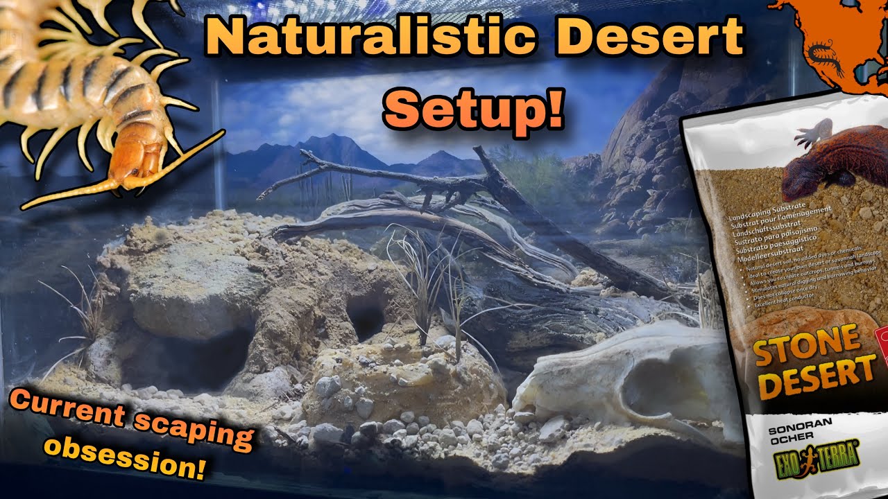 DIY Desert Centipede Naturalistic Setup! | Exo Terra Stone Desert Sonoran Ochre! 